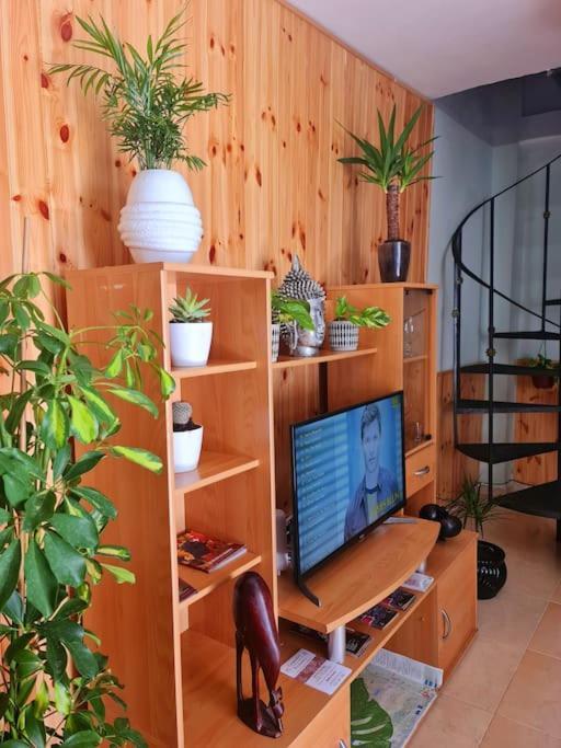 Appartamento De Ensueno Y Relax Parking Gratuito *